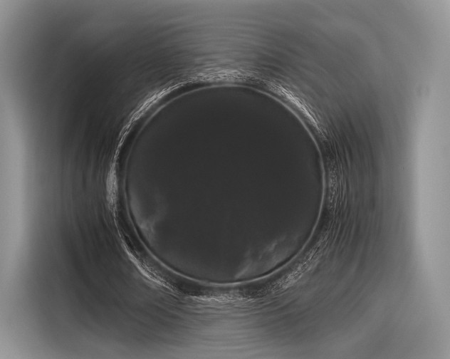 X0000116120674200911301327