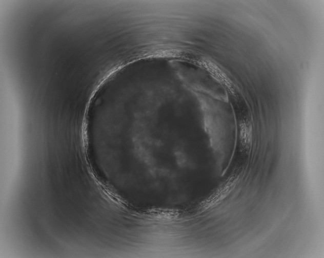 X0000116120676200911301327