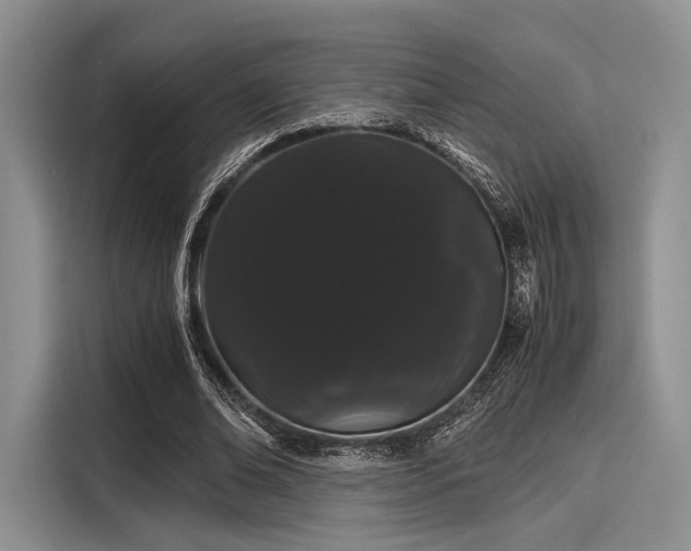 X0000116120678200911301327