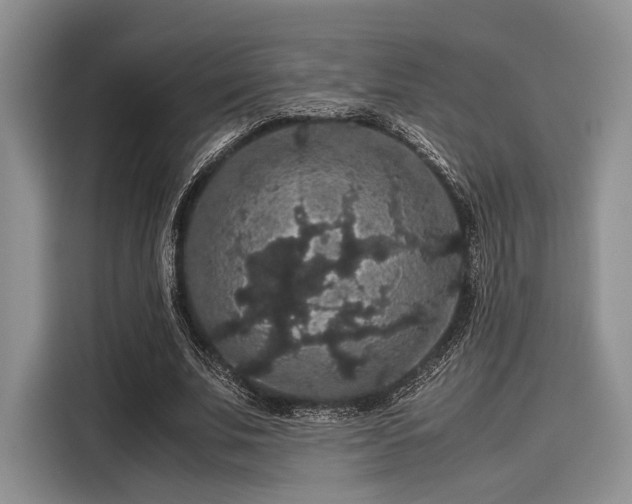 X0000116120679200911301327