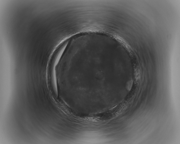 X0000116120680200911301327