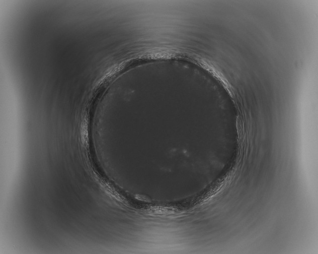 X0000116120681200911301327