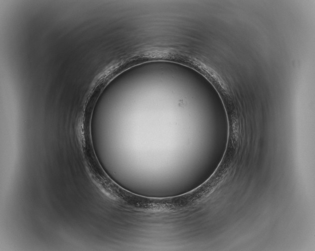 X0000116120682200911301327