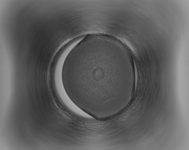 X0000116120684200911301327