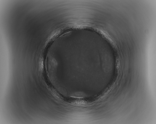 X0000116120685200911301327