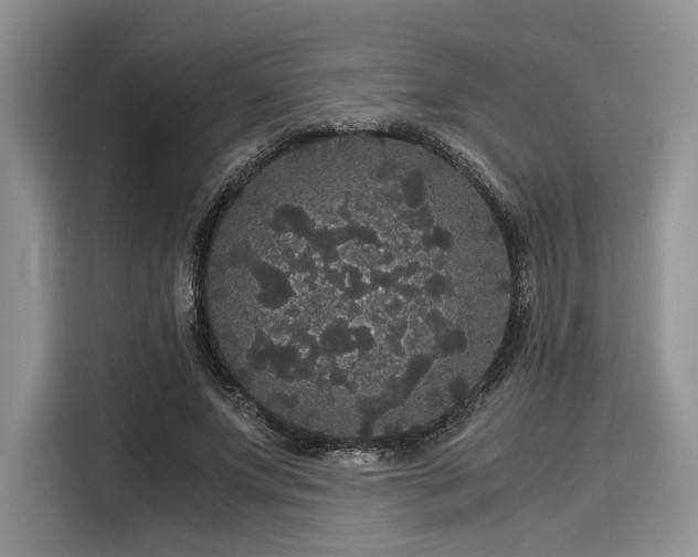 X0000116120687200911301327