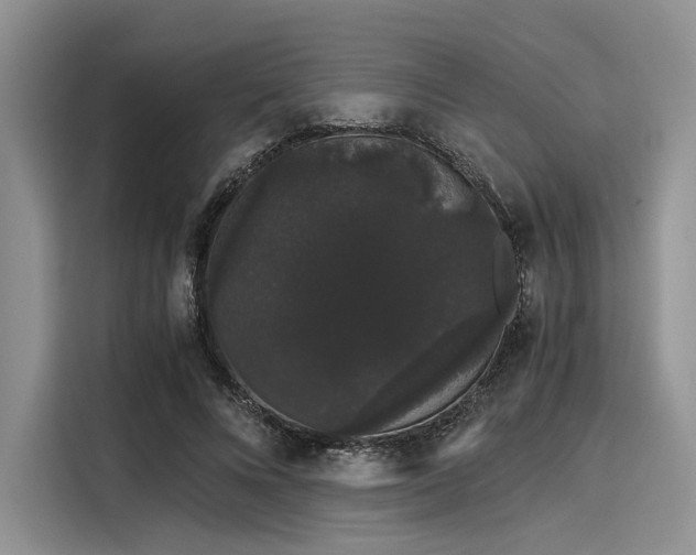 X0000116120688200911301327