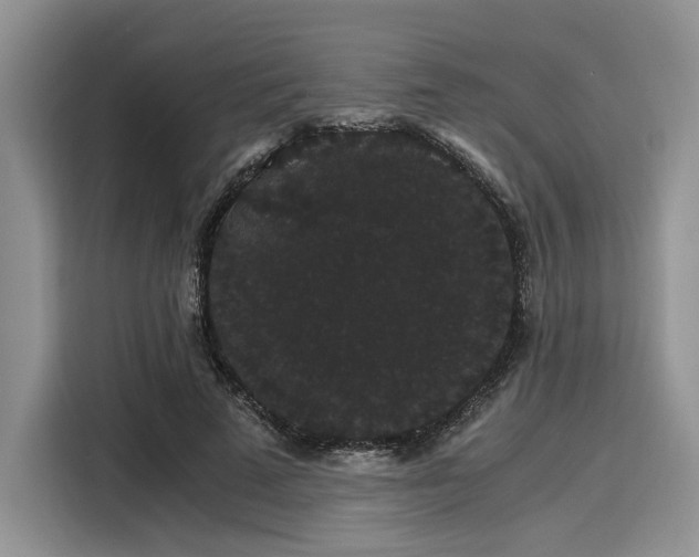 X0000116120689200911301327