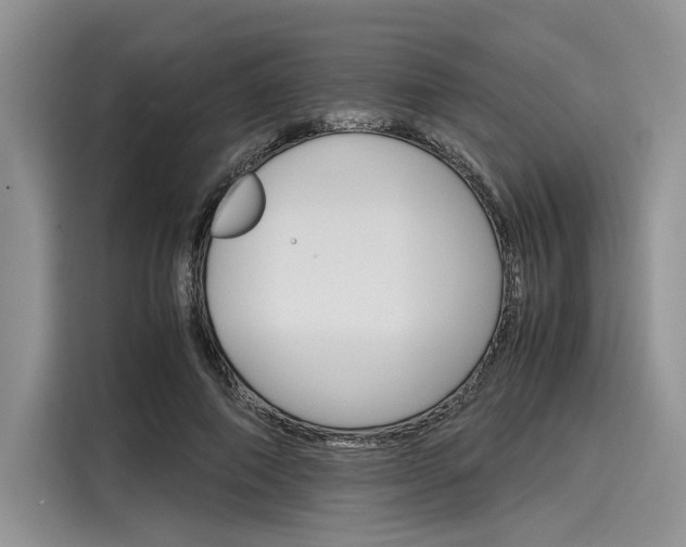 X0000116120690200911301327