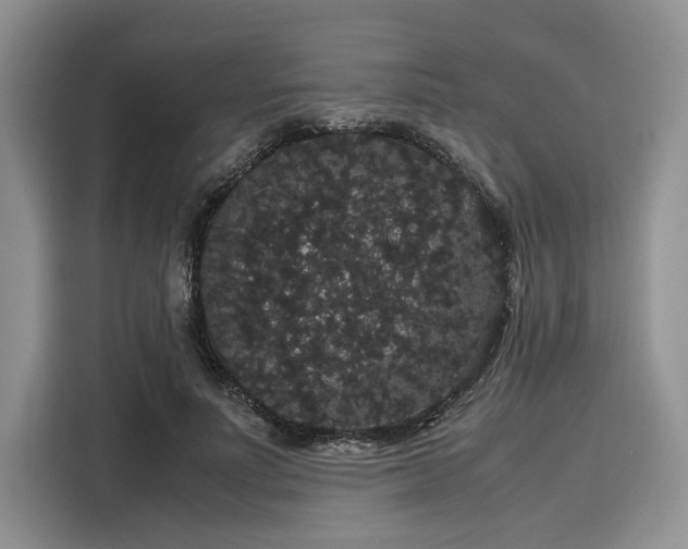 X0000116120691200911301327