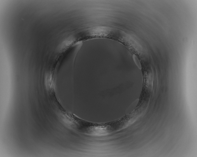 X0000116120692200911301327