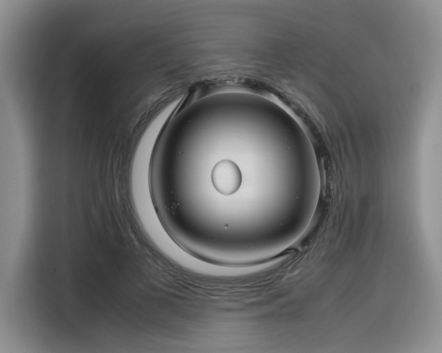 X0000116120693200911301327