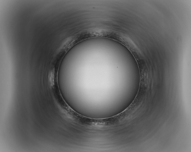 X0000116120694200911301327