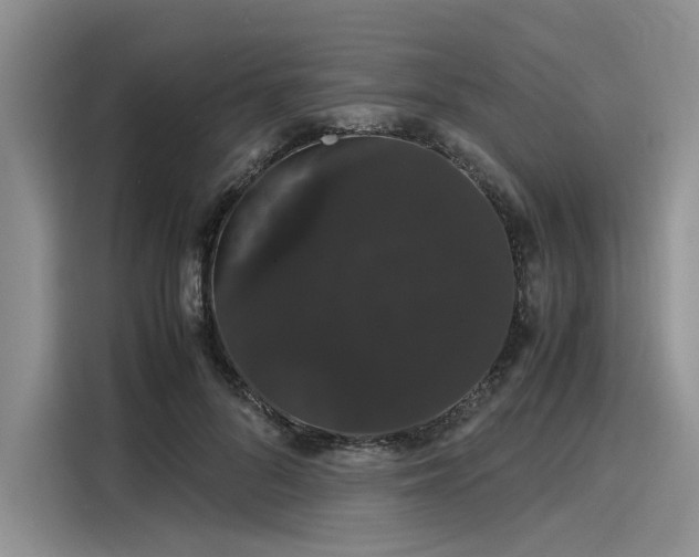 X0000116120696200911301327