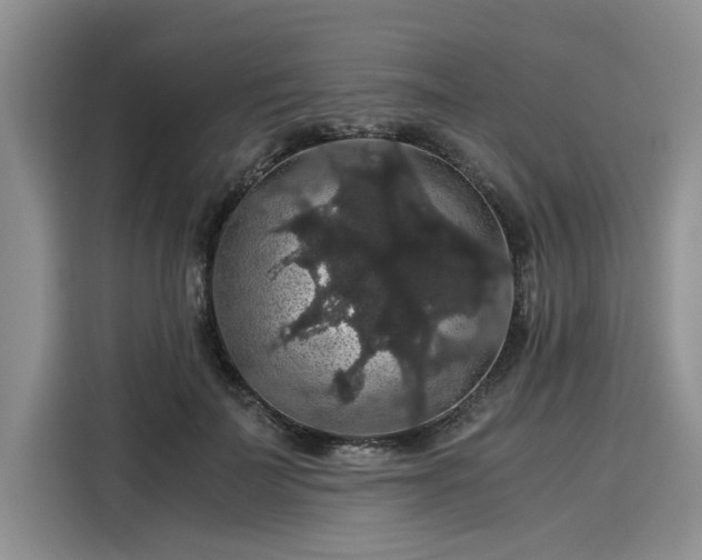 X0000116120699200911301327