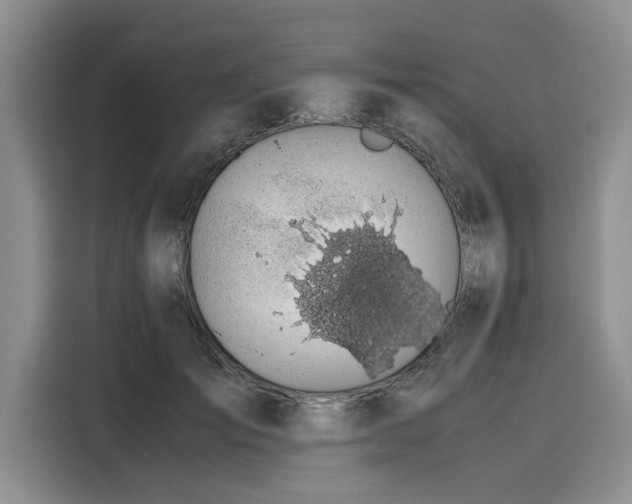 X0000116120701200911301327