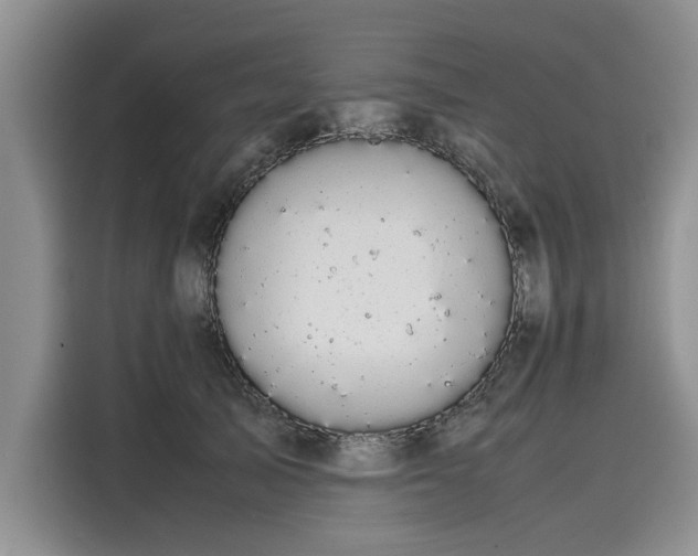 X0000116120705200911301327