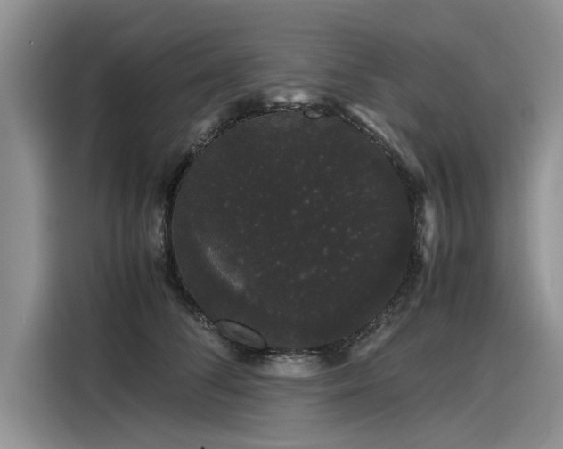 X0000116120708200911301327