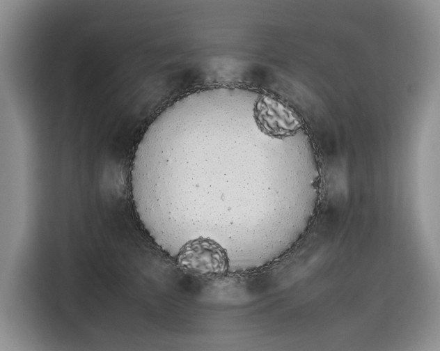 X0000116120709200911301327