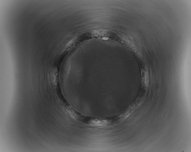 X0000116120712200911301327