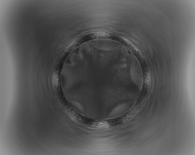 X0000116120715200911301327