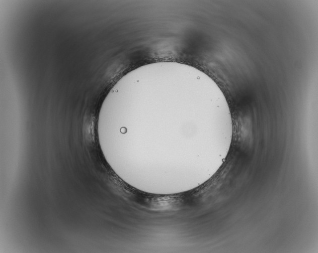 X0000116120717200911301327