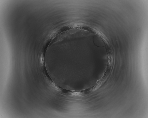 X0000116120718200911301327