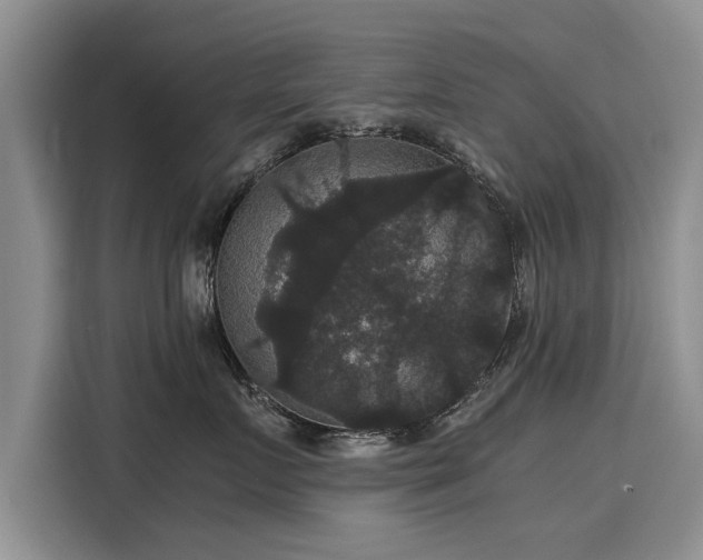 X0000116120719200911301327