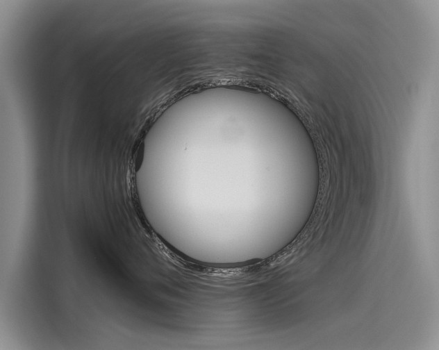 X0000116120720200911301327