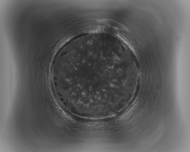 X0000116120721200911301326