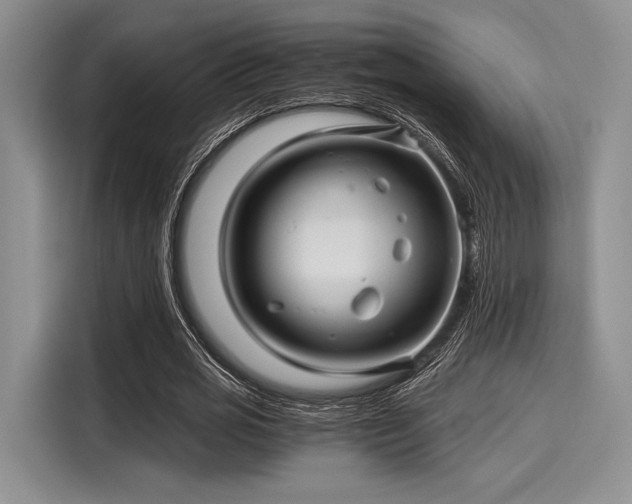 X0000116120725200911301326