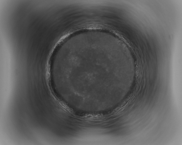 X0000116120727200911301326