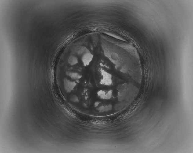 X0000116120729200911301326