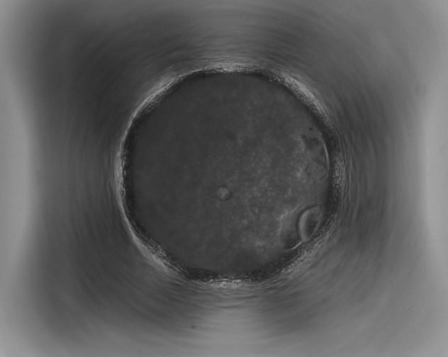 X0000116120730200911301326