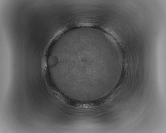 X0000116120731200911301326