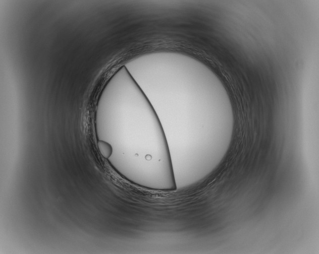 X0000116120735200911301326