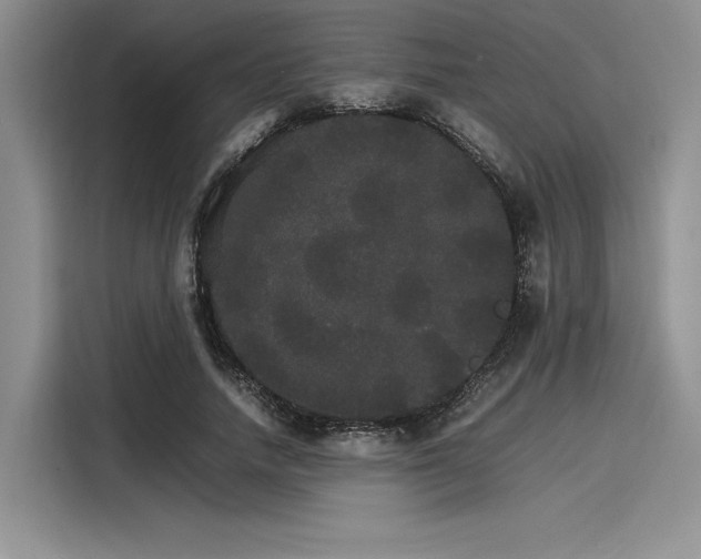 X0000116120738200911301326