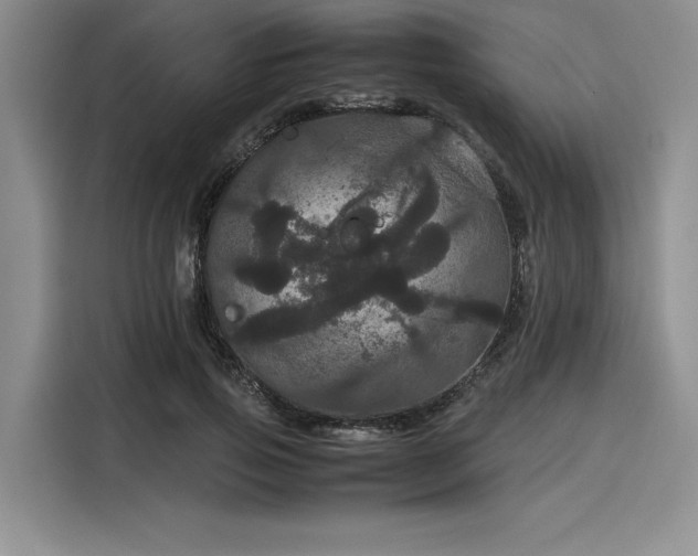 X0000116120741200911301326