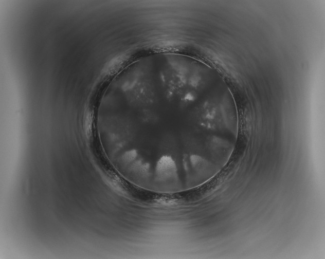 X0000116120742200911301326