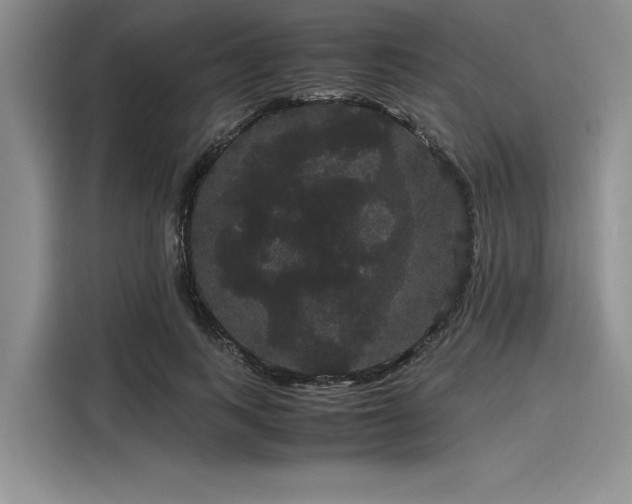 X0000116120743200911301326