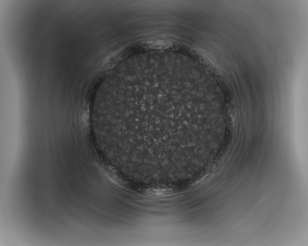 X0000116120745200911301327