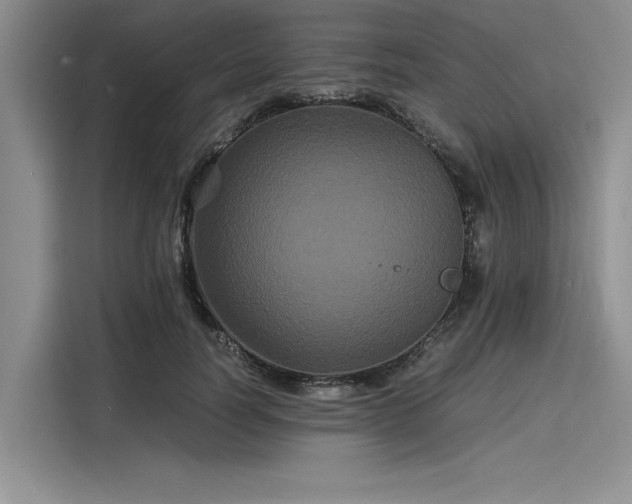 X0000116120746200911301327