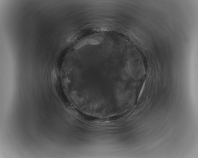 X0000116120747200911301327