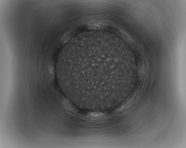 X0000116120749200911301327