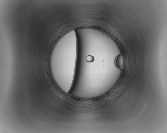 X0000116120750200911301327