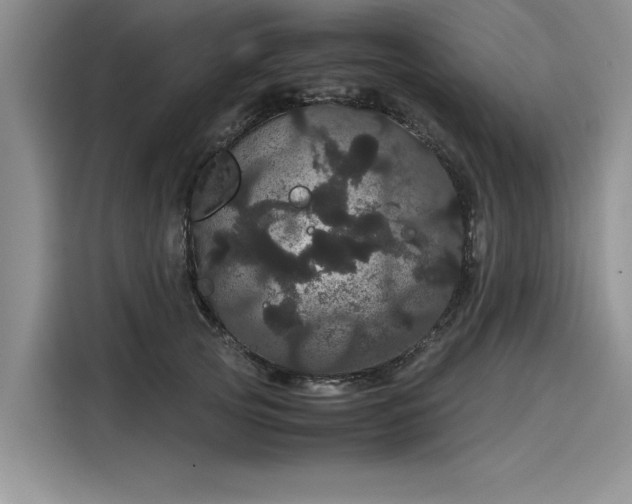 X0000116120753200911301327