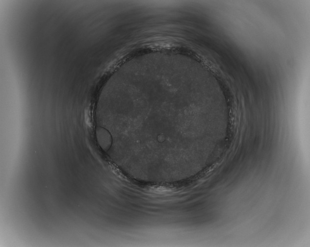 X0000116120755200911301327