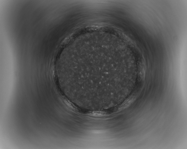 X0000116120758200911301327