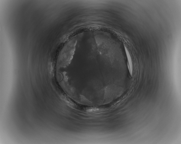 X0000116120759200911301327