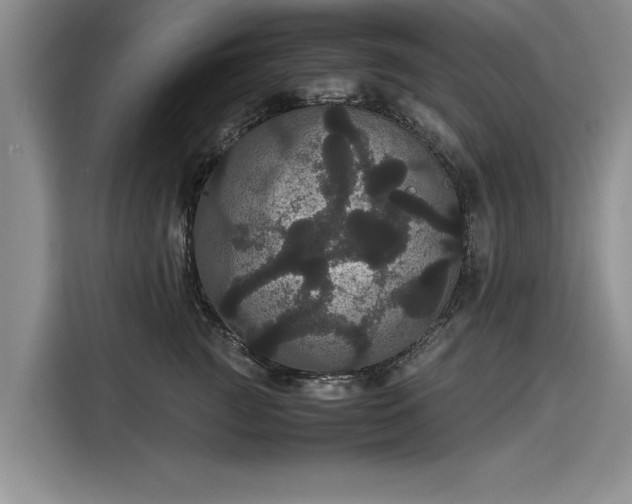 X0000116120761200911301327